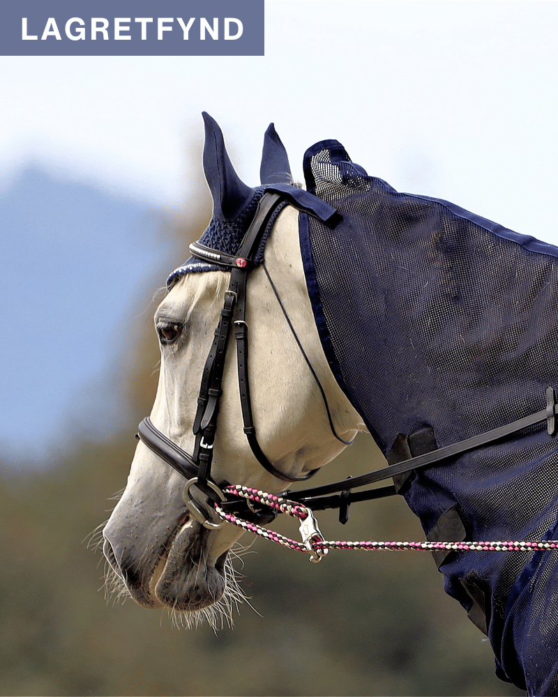 Stall & Transport